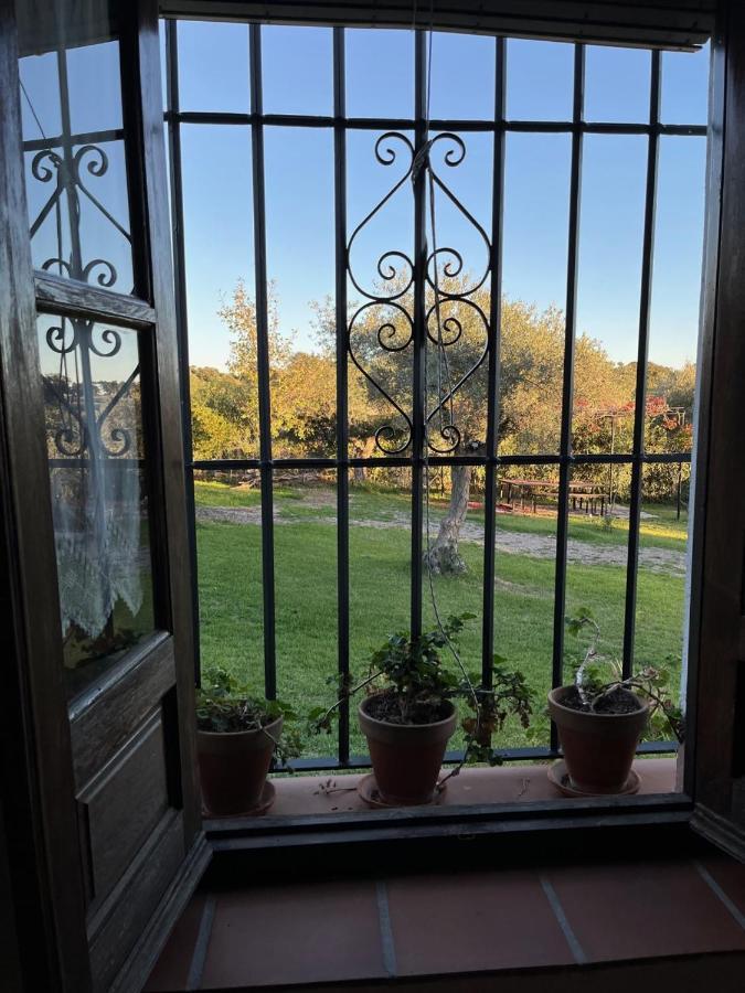 Casa Rural "El Carrasca" El Carrascalejo Dış mekan fotoğraf