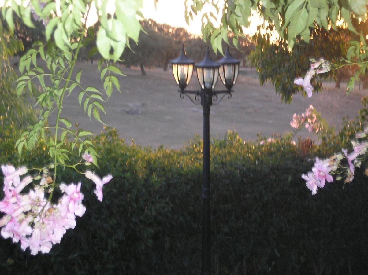 Casa Rural "El Carrasca" El Carrascalejo Dış mekan fotoğraf