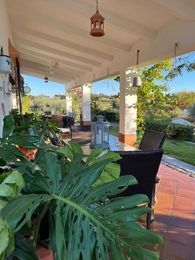 Casa Rural "El Carrasca" El Carrascalejo Dış mekan fotoğraf