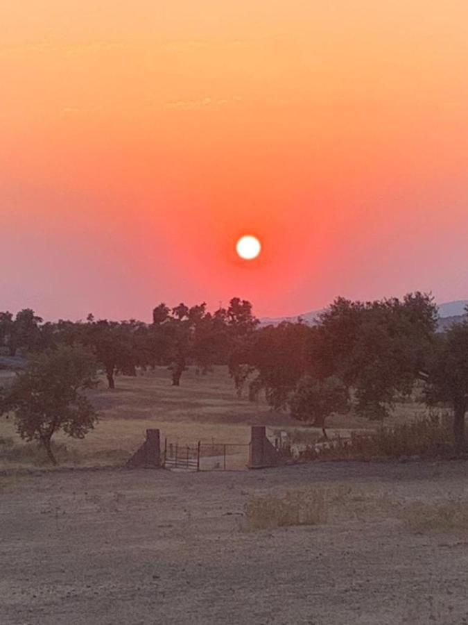 Casa Rural "El Carrasca" El Carrascalejo Dış mekan fotoğraf